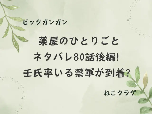 薬屋のひとりごとネタバレ80話後編！壬氏率いる禁軍が到着？
