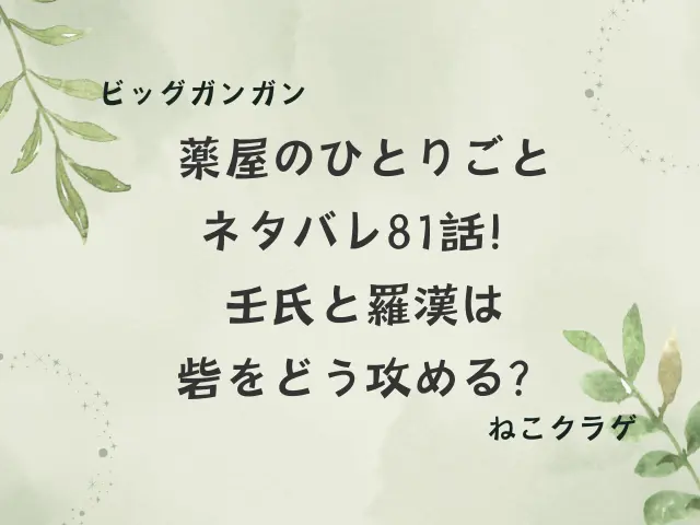薬屋のひとりごとネタバレ81話！壬氏と羅漢は砦をどう攻める？